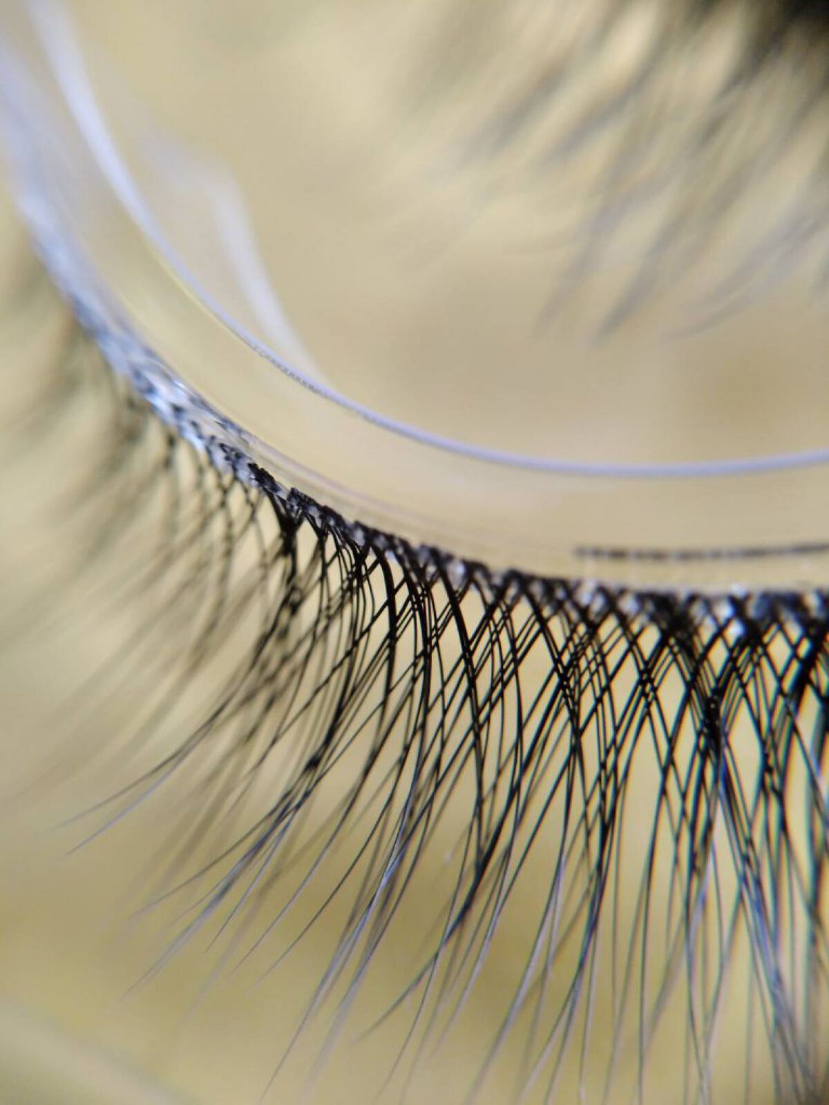 ミッシュブルーミン 3Dアイラッシュライン/ミッシュブルーミン/つけまつげを使ったクチコミ（3枚目）