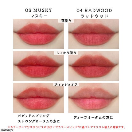 rom&nd ブラーファッジティント/rom&nd/リップティントを使ったクチコミ(6枚目)