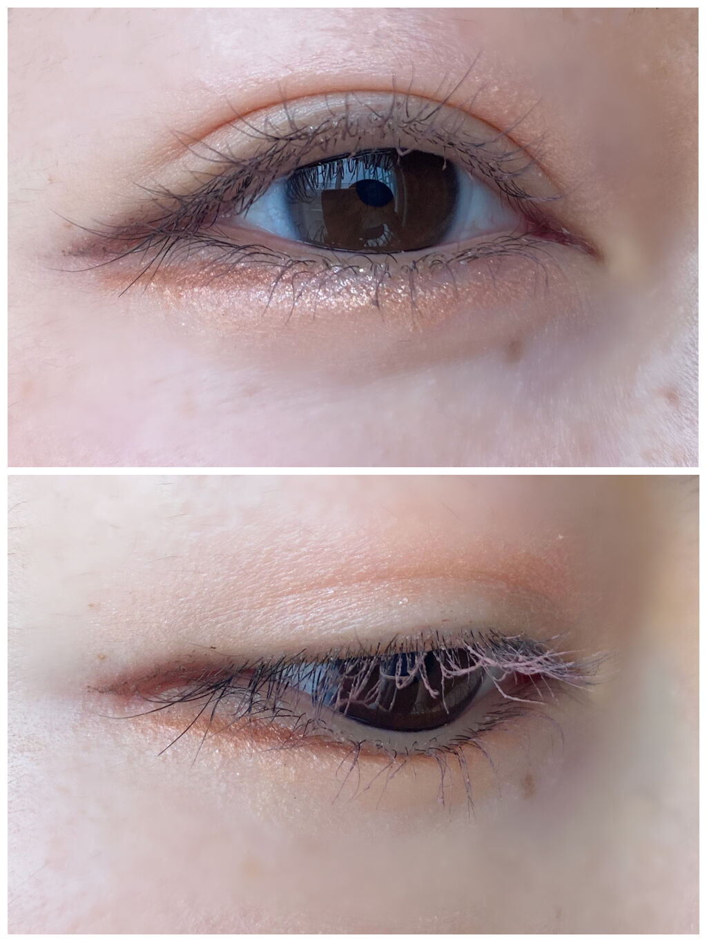 ミリコショコラコレクション/ビューティーワールド/マスカラを使ったクチコミ（2枚目）