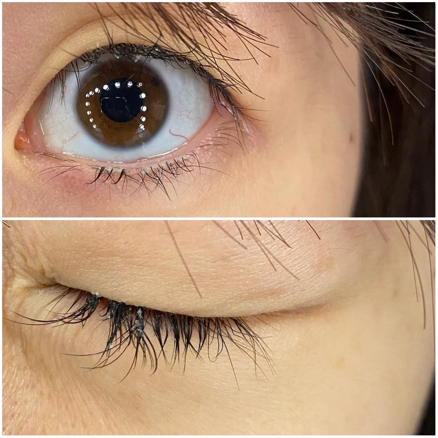 アイラッシュグルー/ミッシュブルーミン/つけまつげを使ったクチコミ(7枚目)