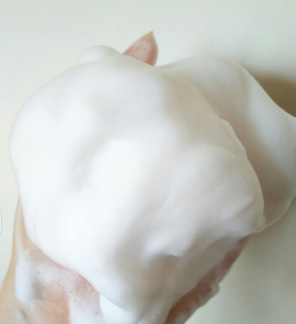 フィトグラム  フェイシャルフォーム モヒート/メイコー化粧品/洗顔フォームを使ったクチコミ（2枚目）