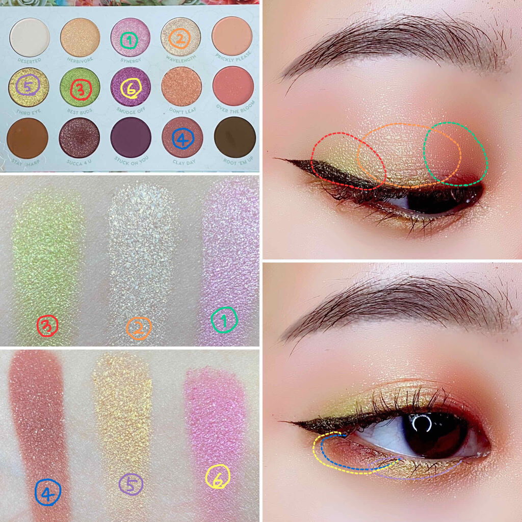 ガーデン バラエティ アイシャドウ パレット/ColourPop/アイシャドウパレットを使ったクチコミ（2枚目）