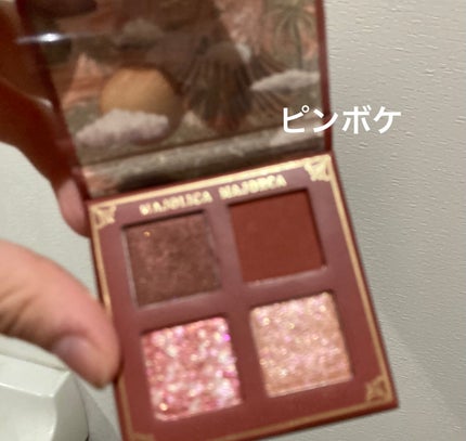 シャドーフラッシュ /MAJOLICA MAJORCA/アイシャドウパレットを使ったクチコミ(7枚目)