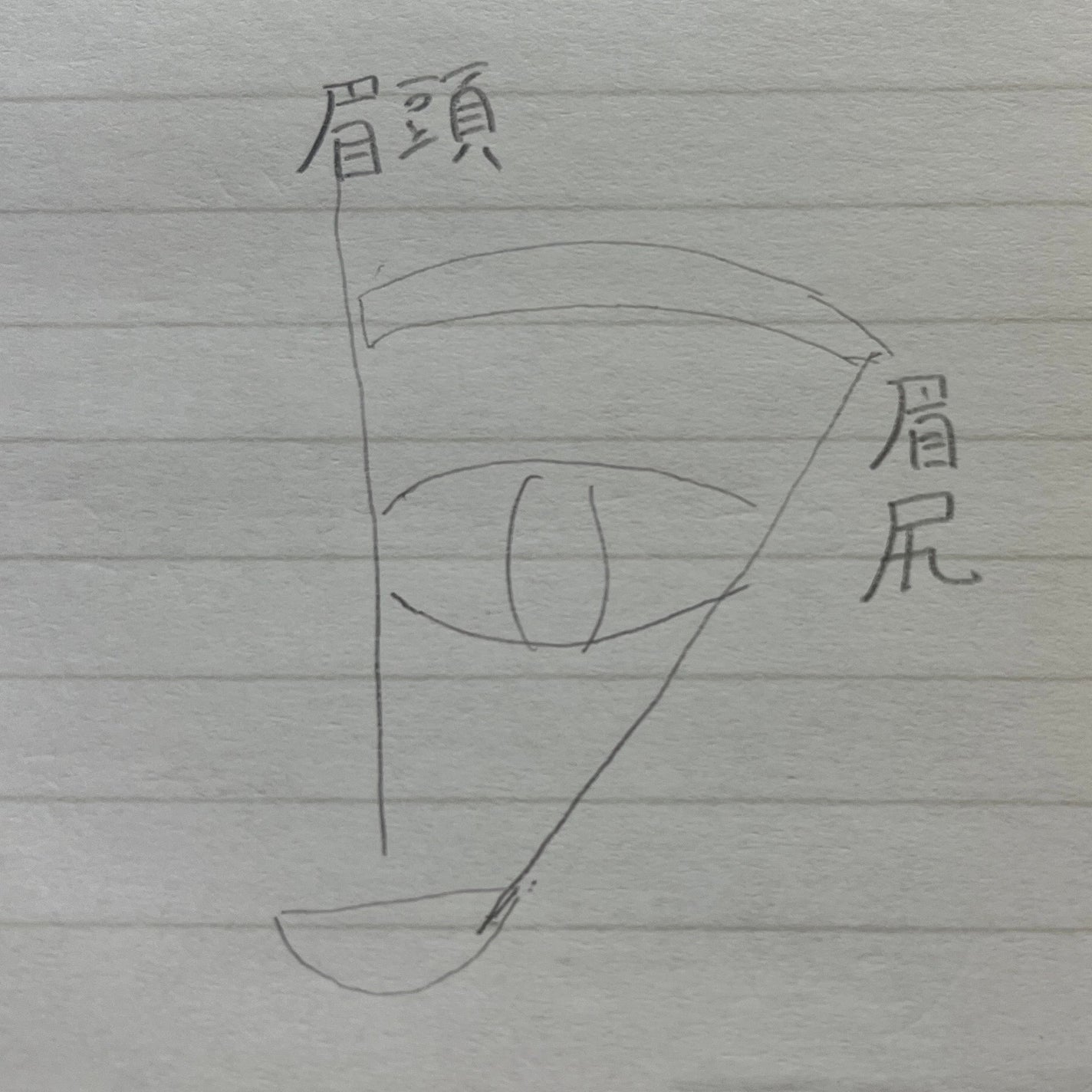 眉スキハサミ/貝印/その他化粧小物を使ったクチコミ(2枚目)