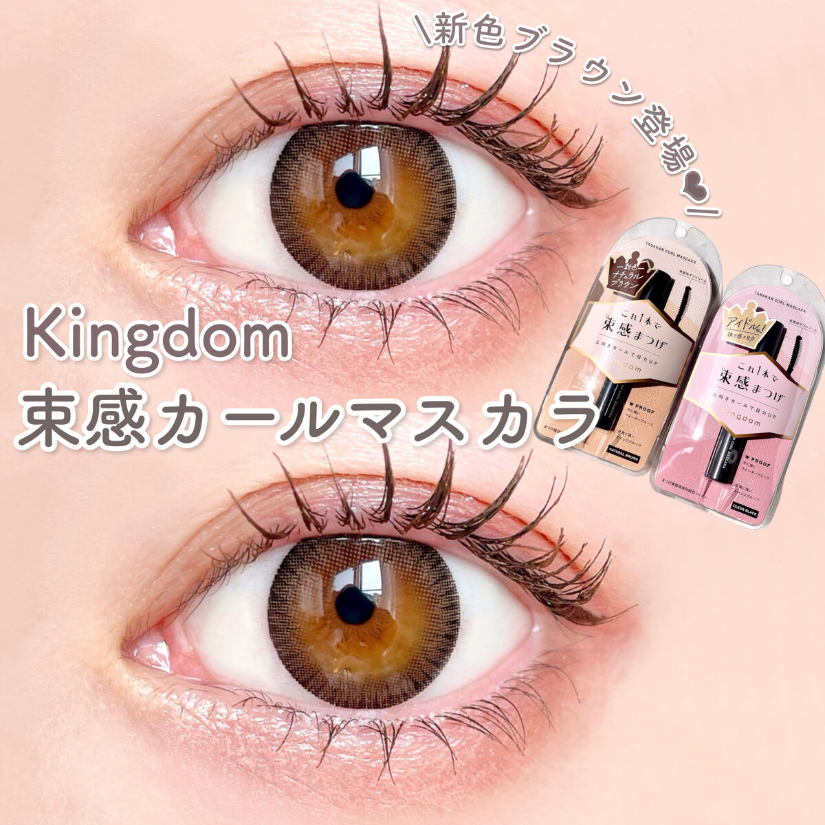 KEYBO FALL IN LOVE SHADOW PALETTE/keybo/アイシャドウパレットを使ったクチコミ（1枚目）