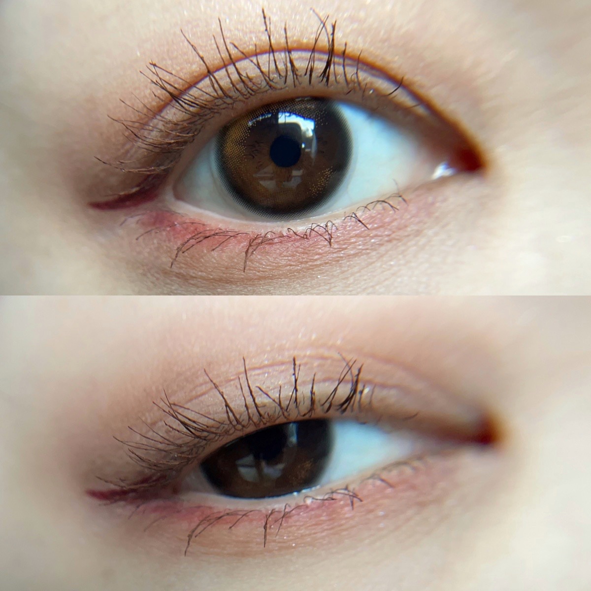 レイヤードカラーズアイシャドウ EX2 Nostalgic Rose（限定）/KANEBO/アイシャドウパレットを使ったクチコミ（1枚目）