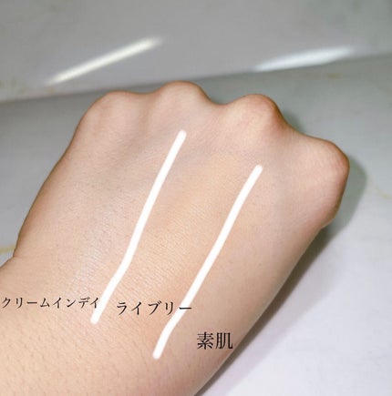 クリーム イン デイ/KANEBO/フェイスクリームを使ったクチコミ(3枚目)