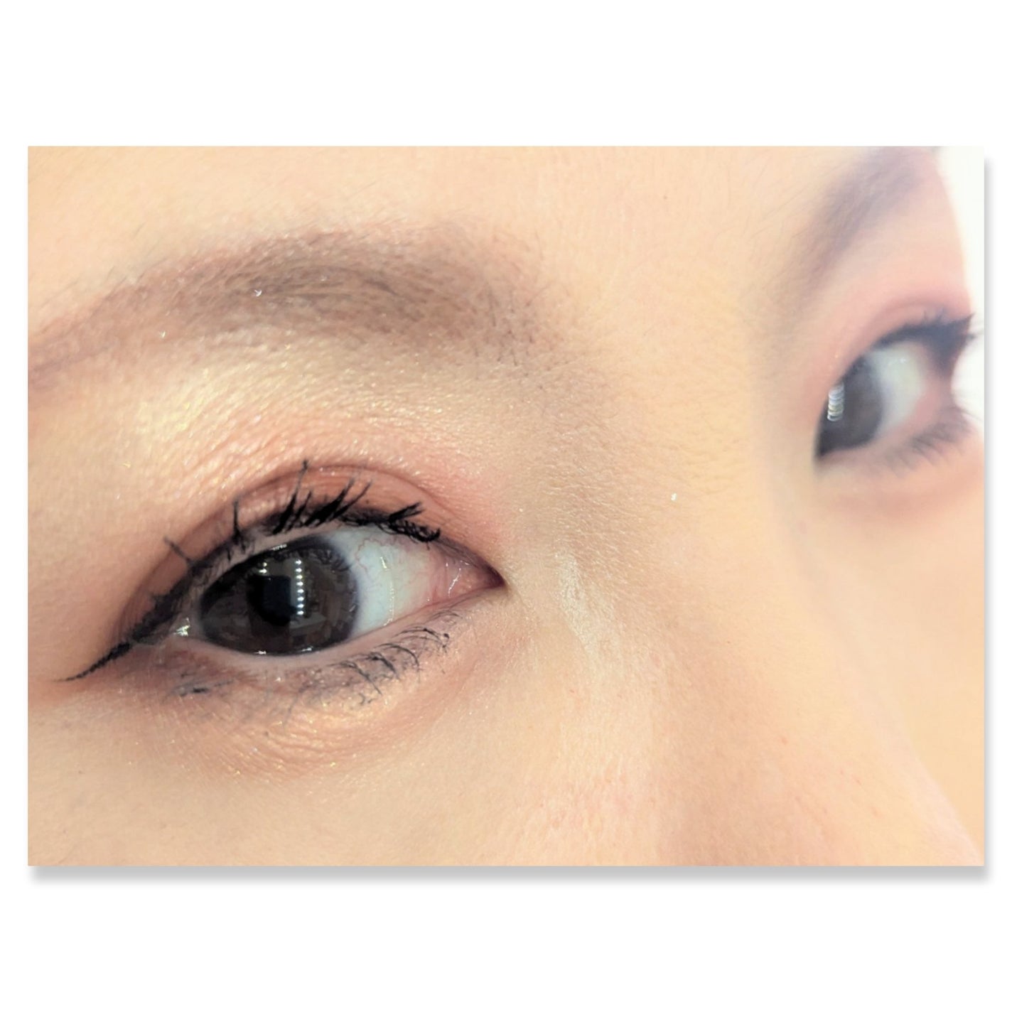 ジュエリーシャドウベール/キャンメイク/アイシャドウパレットを使ったクチコミ(2枚目)