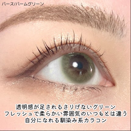 perse 1day パームグリーン/perse/ワンデー(1DAY)カラコンを使ったクチコミ(3枚目)