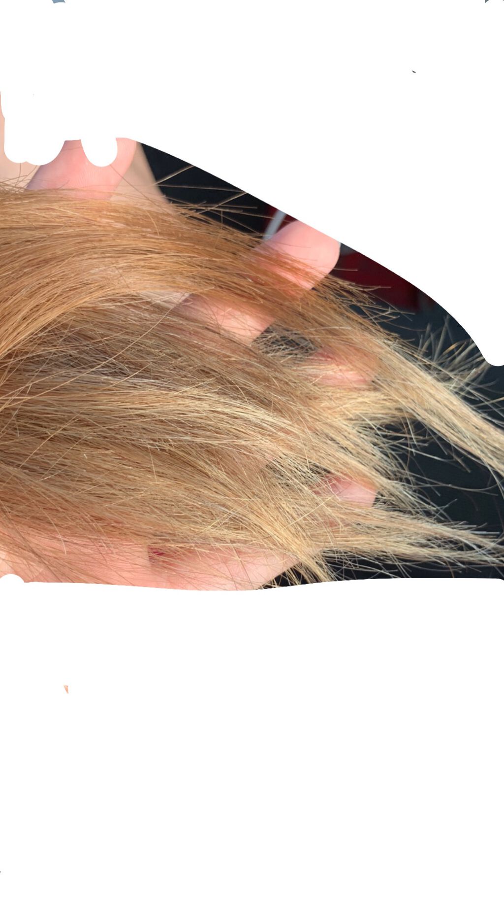 エクステ専用ブラシ/ARUJYANSU/ヘアブラシを使ったクチコミ（1枚目）