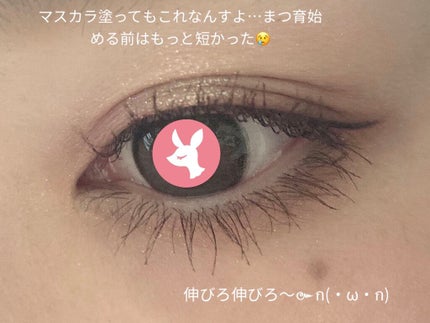 EMAKED(エマーキット)/水橋保寿堂製薬/まつげ美容液を使ったクチコミ(2枚目)