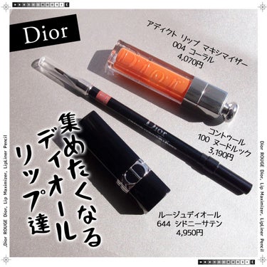 ルージュ ディオール コントゥール 100 ヌード ルック/Dior/リップライナーを使ったクチコミ（1枚目）