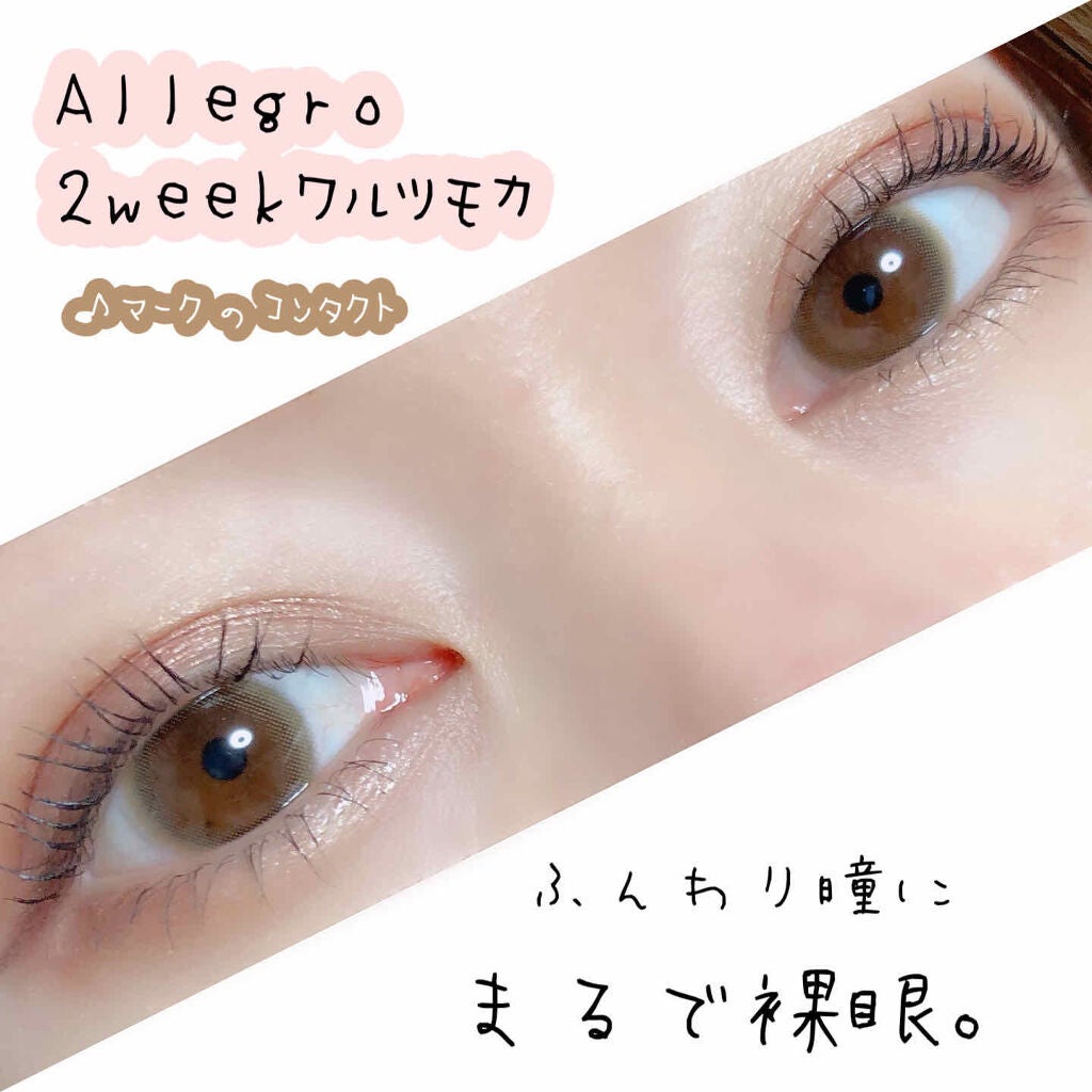 ロイヤルヴィンテージ アイズ/リンメル ロンドン/アイシャドウパレットを使ったクチコミ(1枚目)