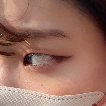 プロ アイ パレット/CLIO/アイシャドウパレットを使ったクチコミ(1枚目)