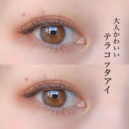 パーフェクトマルチアイズ/キャンメイク/アイシャドウパレットを使ったクチコミ(1枚目)