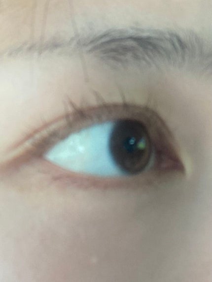 Extra Volumecurl Metal Maxicara/NEOGEN/マスカラを使ったクチコミ(3枚目)