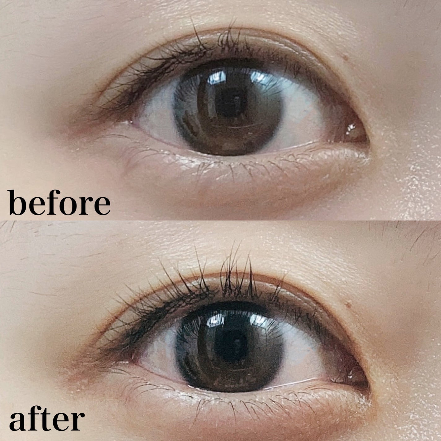 ホットビューラー カーラー型/ANLAN/ホットビューラーを使ったクチコミ(5枚目)