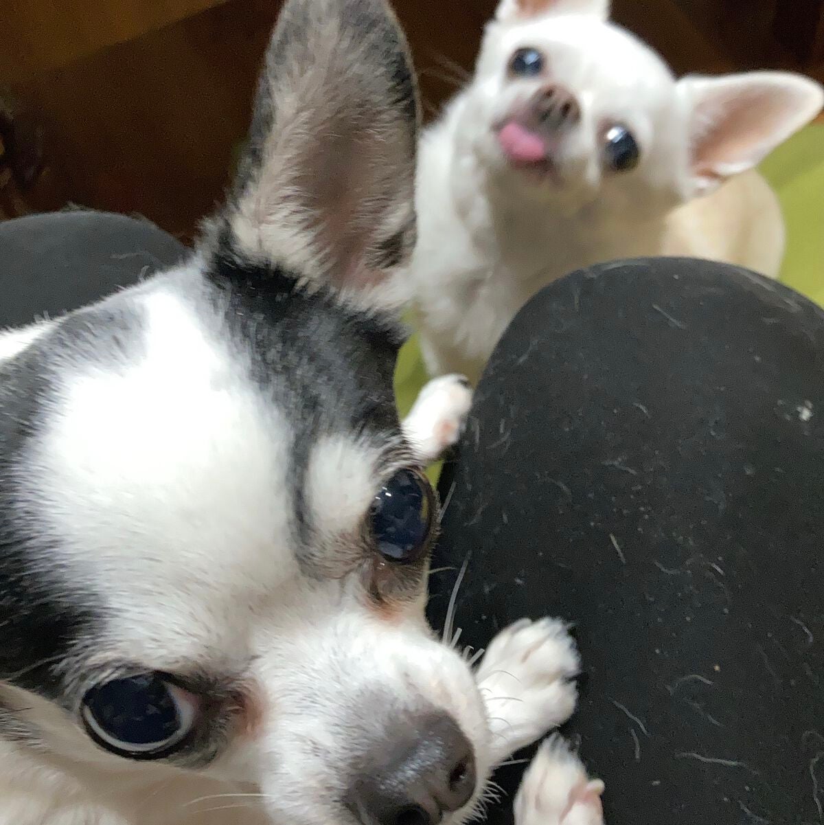 しに子ちゃん on LIPS 「コーヒーメーカー買ったった。全自動!マグニフィカくん!タイマー..」(3枚目)