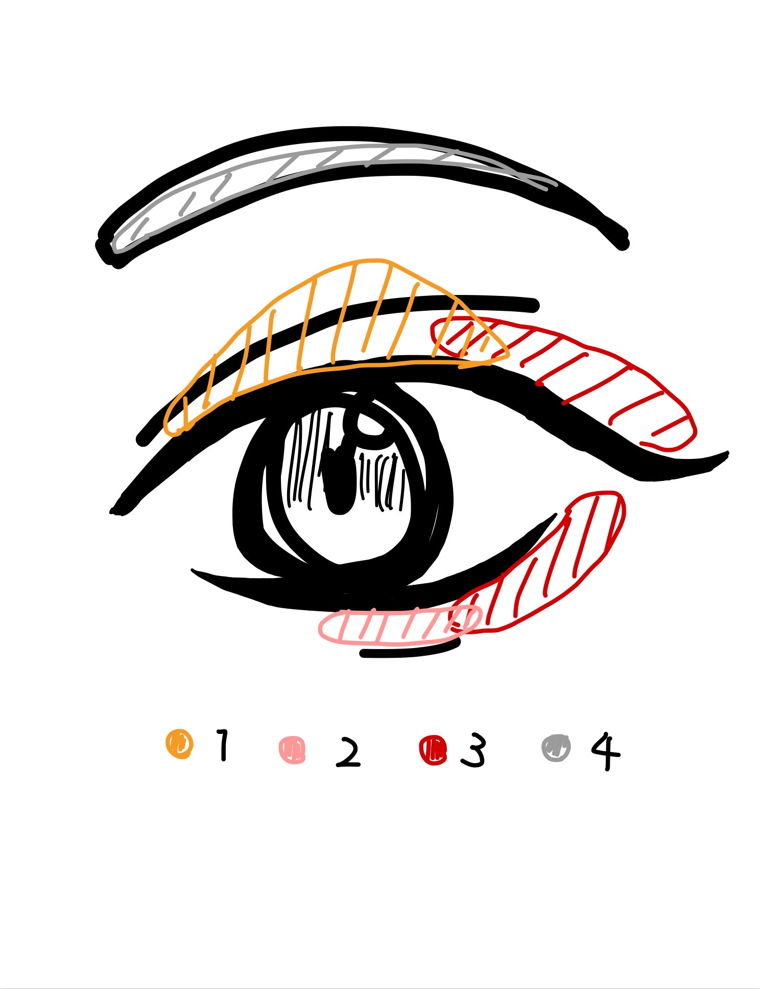 シグニチャー カラー アイズ/SUQQU/アイシャドウパレットを使ったクチコミ（2枚目）