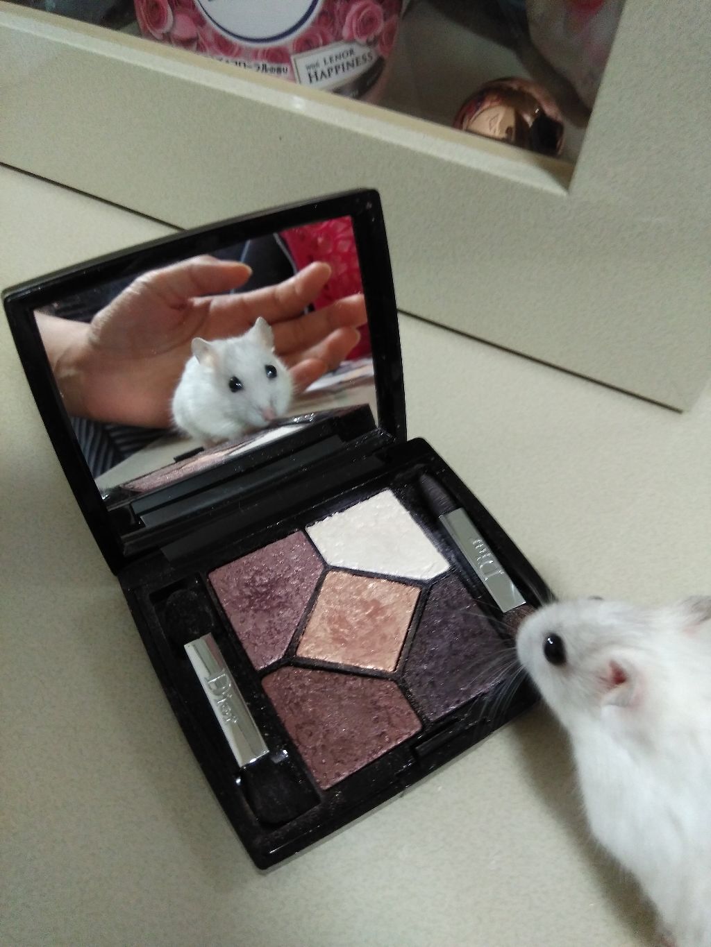 【旧】サンク クルール/Dior/アイシャドウパレットを使ったクチコミ（2枚目）