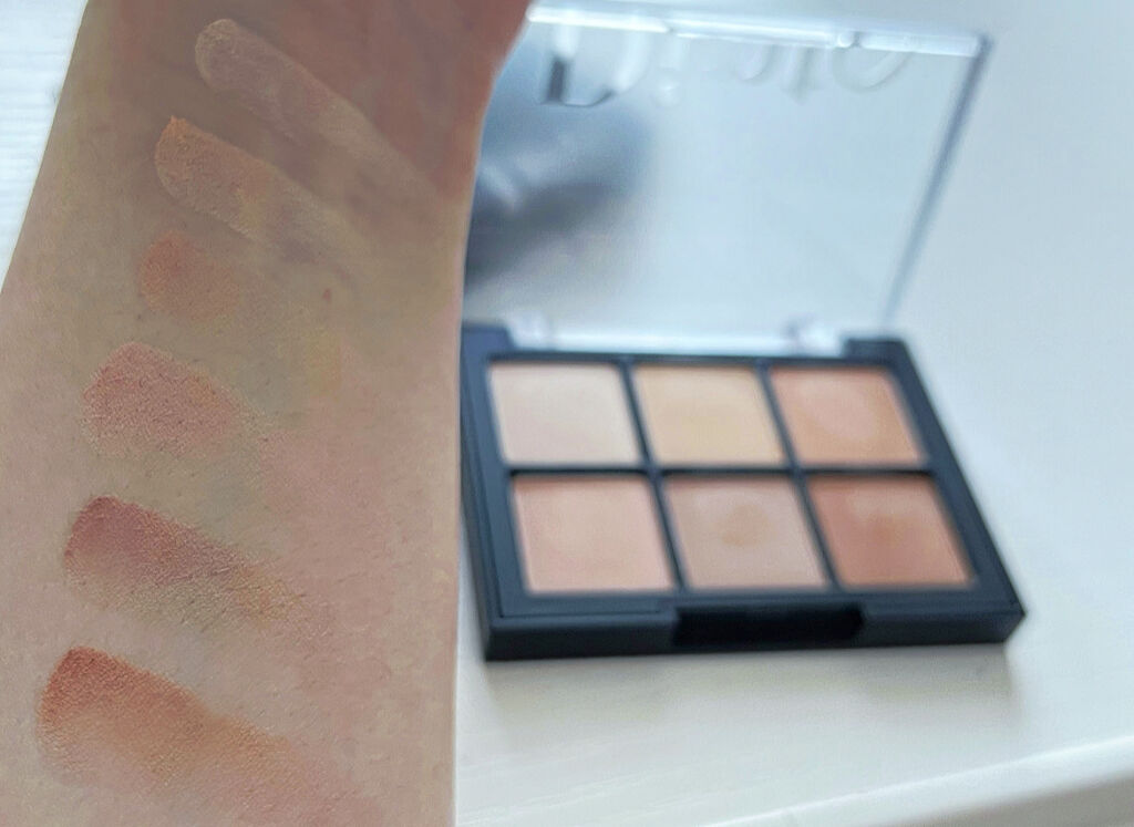 ブラーフィニシュシャドウパレット/Dinto/アイシャドウパレットを使ったクチコミ（1枚目）