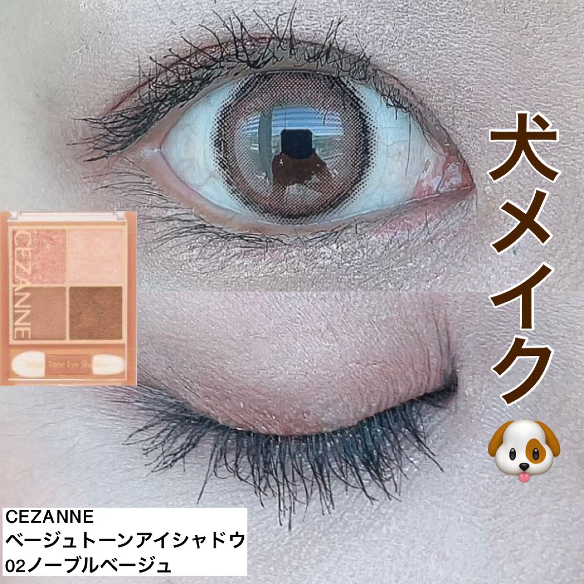 ベージュトーンアイシャドウ/CEZANNE/アイシャドウパレットを使ったクチコミ（1枚目）