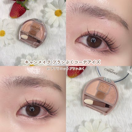 プランぷくコーデアイズ/キャンメイク/パウダーアイシャドウを使ったクチコミ(5枚目)