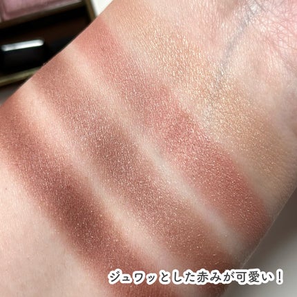 スキニーリッチシャドウ/excel/アイシャドウパレットを使ったクチコミ(4枚目)