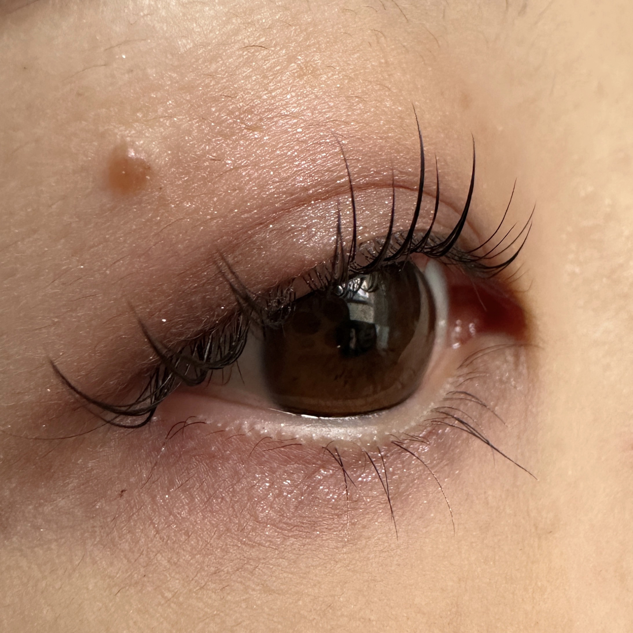 リキッドアイライナー ビジューグリッターエディション/ラブ・ライナー/リキッドアイライナーを使ったクチコミ（2枚目）