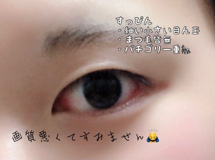 ラッシュエキスパンダー ロングロングロング/MAJOLICA MAJORCA/マスカラを使ったクチコミ(2枚目)