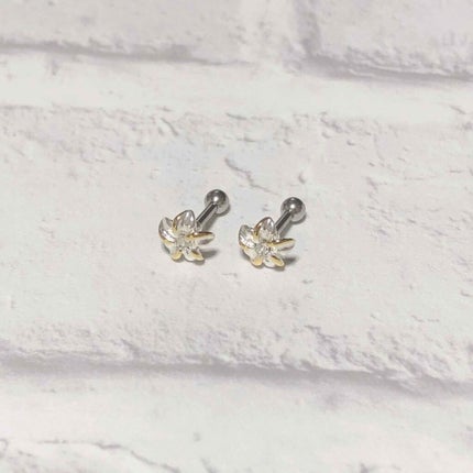 æ«»ã¯ã ðž on LIPS ãå°ããªãžã¥ãšã«ã§äžåã«å¯æãããããã©ãã¢ã¹è³Œå
¥å玹ä»âªä¹
ãã¶..ãïŒ5æç®ïŒ