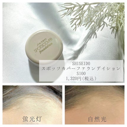 カラーミキシングコンシーラー/キャンメイク/パレットコンシーラーを使ったクチコミ(2枚目)