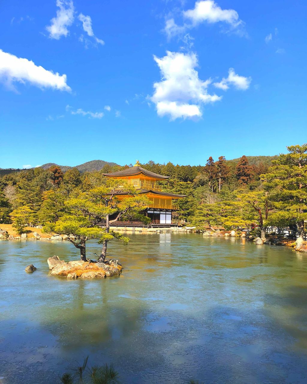 京好み 紙せっけん アロエ/よーじや/ボディ石鹸を使ったクチコミ（2枚目）