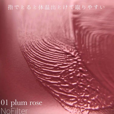 チアミーアップ グロウイング ブラッシュ＆リップ 01 plum rose/Awake/口紅を使ったクチコミ（2枚目）