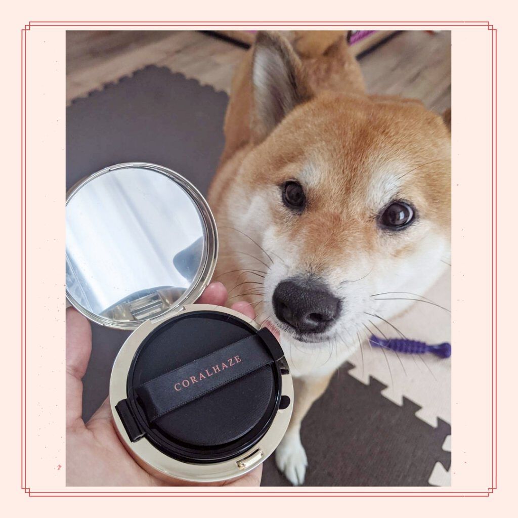 FGF7 ハイドロセルクッション/Coralhaze/クッションファンデーションを使ったクチコミ（2枚目）