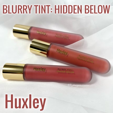 ブラーリーティント ヒドゥンビロウ/Huxley/リップティントを使ったクチコミ(1枚目)