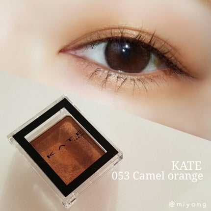 ケイト ザ アイカラー/KATE/単色アイシャドウを使ったクチコミ(1枚目)