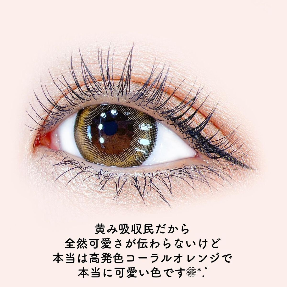 ベターザンパレット/rom&nd/アイシャドウパレットを使ったクチコミ(6枚目)