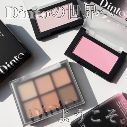 ブラーフィニシュシャドウパレット/Dinto/アイシャドウパレットを使ったクチコミ(1枚目)