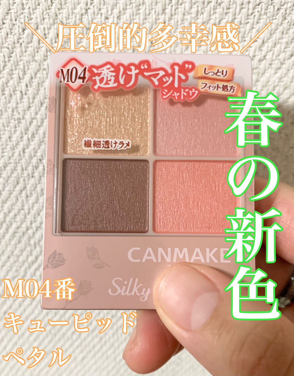 シルキースフレアイズ（マットタイプ）/キャンメイク/アイシャドウパレットを使ったクチコミ（1枚目）