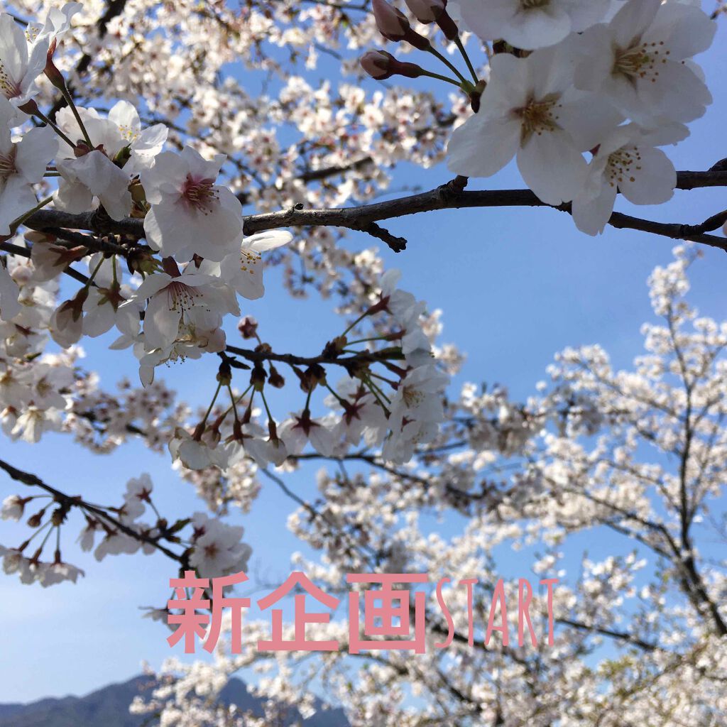 すっぴんパウダー/クラブ/プレストパウダーを使ったクチコミ（1枚目）