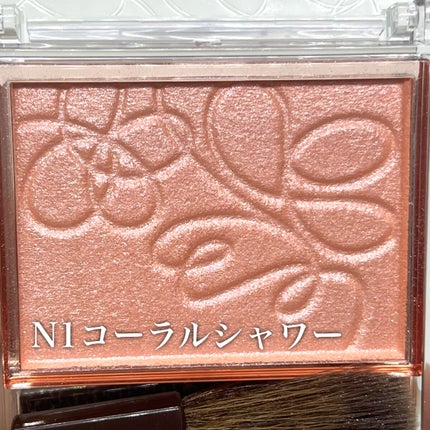 パールグロウニュアンサー/CEZANNE/パウダーハイライトを使ったクチコミ(3枚目)