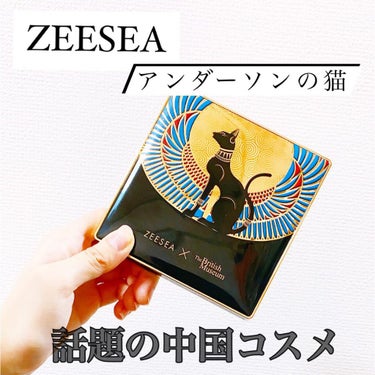 大英博物館 エジプトシリーズ アイシャドウパレット/ZEESEA/アイシャドウパレットを使ったクチコミ（1枚目）