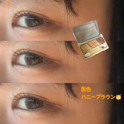 極細 アイライナーR/CEZANNE/リキッドアイライナーを使ったクチコミ(1枚目)