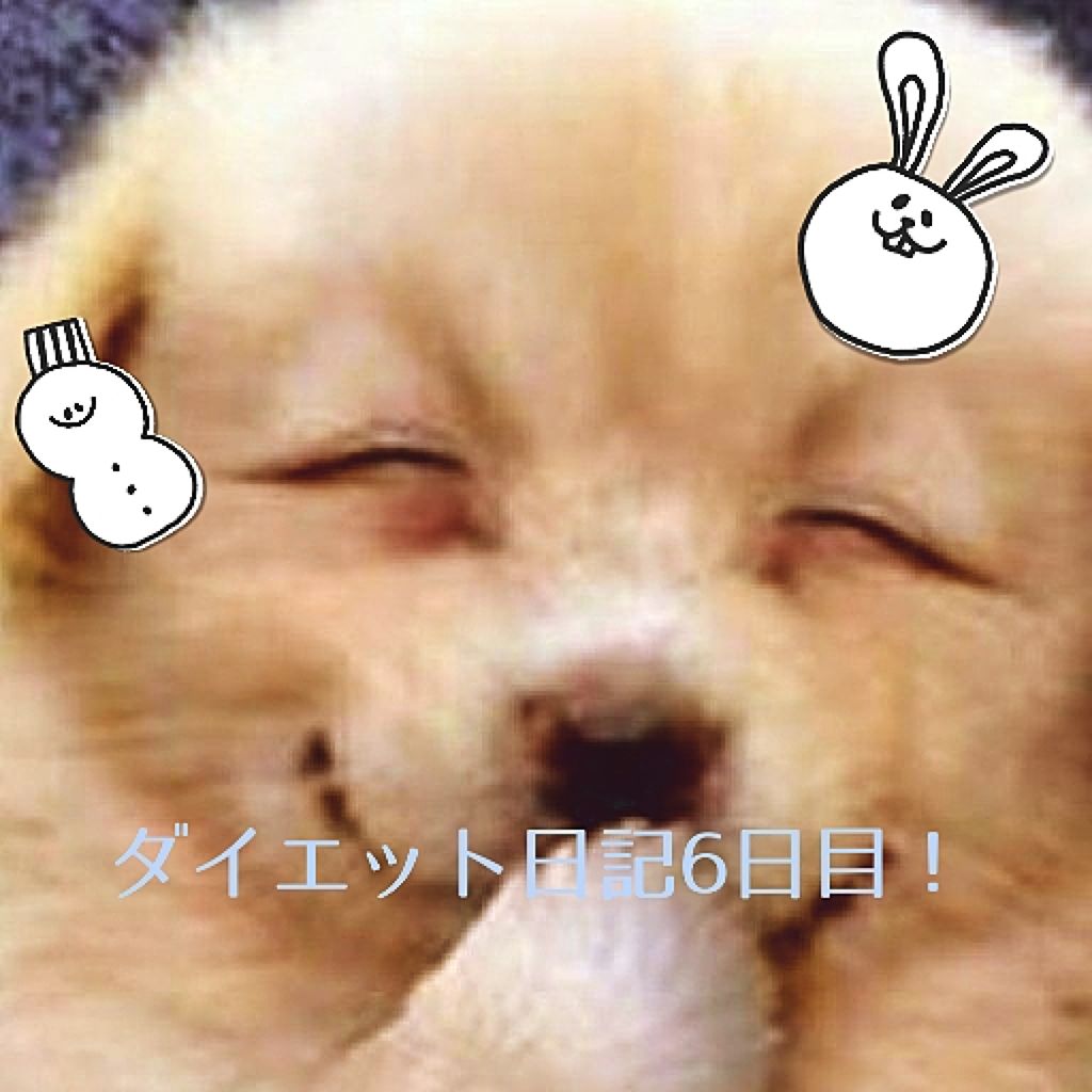 自己紹介/雑談/その他を使ったクチコミ（1枚目）