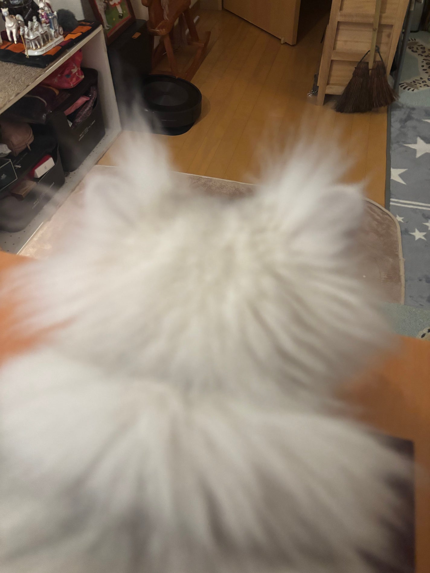 ヴォワールコレクチュールn/クレ・ド・ポー ボーテ/化粧下地を使ったクチコミ(8枚目)