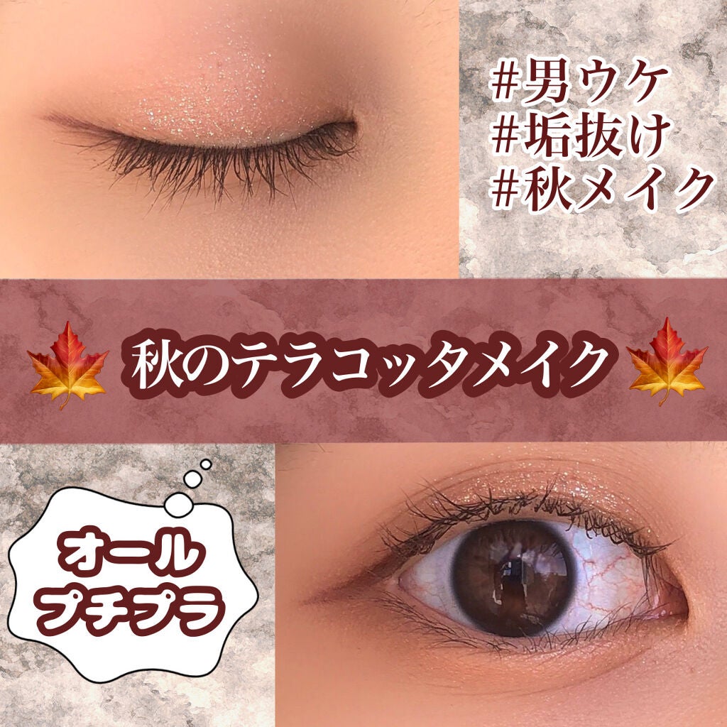 パーフェクトマルチアイズ/キャンメイク/アイシャドウパレットを使ったクチコミ(1枚目)