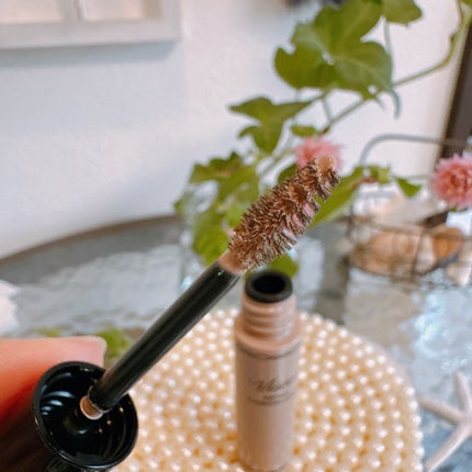 ヴィセ リシェ アイブロウパウダー/Visée/パウダーアイブロウを使ったクチコミ(8枚目)