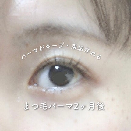 まつげ美容液EX/CEZANNE/まつげ美容液を使ったクチコミ(3枚目)