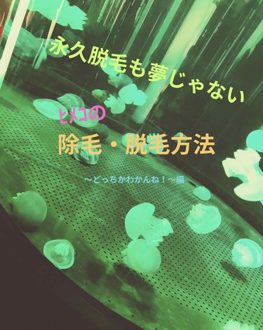 ﾋﾒｺです！
今回は私のお毛毛事情を教えます😛😁
途中頭がおかしくなっている為、忙しい方は🌟まで飛ばしてください🙇🏻‍♀️



まず……

私の毛の感じ？は
*毛が濃い
*1本1本の主張が強い
*生え